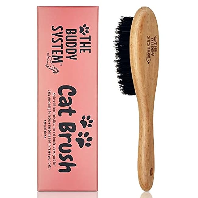 The Buddy System Cat Brush with Boar Bristle and Wooden Handle, Professional Grade Daily Grooming Hairbrush, Reduce Shedding, Soft Hair and Healthy Shine (1 Pack)-YWqTpcyW