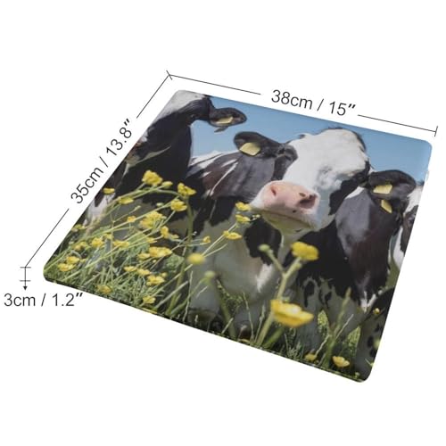 Cojín de espuma viscoelástica cuadrado de 38 x 35 cm lavable para comedor 3
