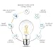 LVWIT Bombillas Inteligente LED A60 Filamento WiFi Regulable 6.5W 806 LM, Lámpara...