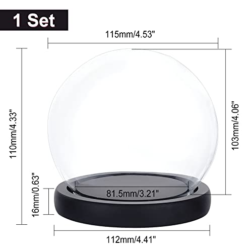 PH PandaHall Glaskuppel Mit Holzboden, Weihnachtsdeko Glasglocke Transparente Glockenglas-Vitrine Glass Dome Cloche Für Pflanzen Blumen Ton Sukkulenten Lichterketten Fotos Medaillen Basteldisplay