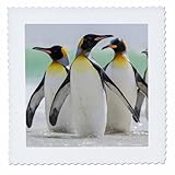 Square dimensions (in inches): 6 L x 6 W, image dimensions (in inches): 4 L x 4 W 100% poloyester; image is soft to touch. Made in USA Edges have pinking shear cut Image will not fade with washing. Image not a transfer, part of material