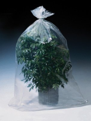 flat polypropylene bolsas