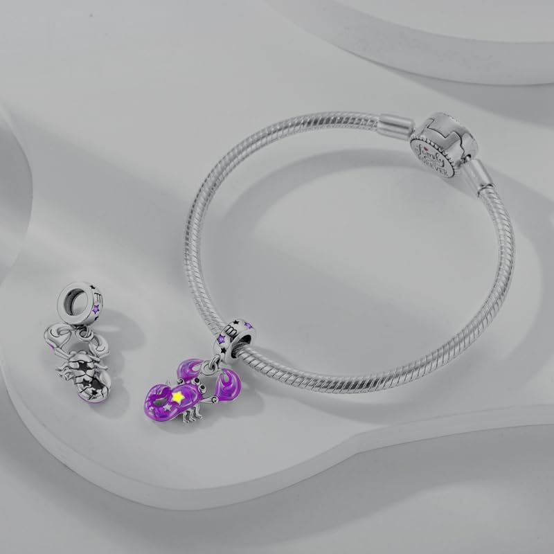 Pandach 12 Zodiac Sign Birthday Charms 925 Sterling Silver Birthstone Charms Fits Women's Charm Bracelet Necklace Bangle Gifts for Womens Friends - Image 3