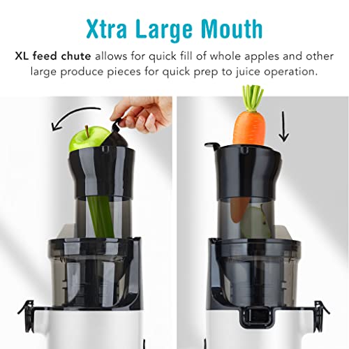Shine Sjx-1 Easy Cold Press Juicer With Xl Feed Chute And Compact Body, White #TOP2