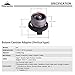 CAMPINGMOON Camping Grill Gas Stove Adapter(Vertical type), Input: Butane Canister, Output: EN417 Lindal Valve Z11
