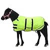 Foal/Mini Horse Size 30″-48″ Waterproof & Breathable 300 Denier Winter Turnout Blanket with 150g Polyfill Green Large
