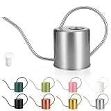 Plant Watering Can, 50 oz / 1500 ml Stainless Steel Metal - Modern Decorative with Long Spout for Indoor Potted Plants, Bonsai, Garden Flowers, Silver