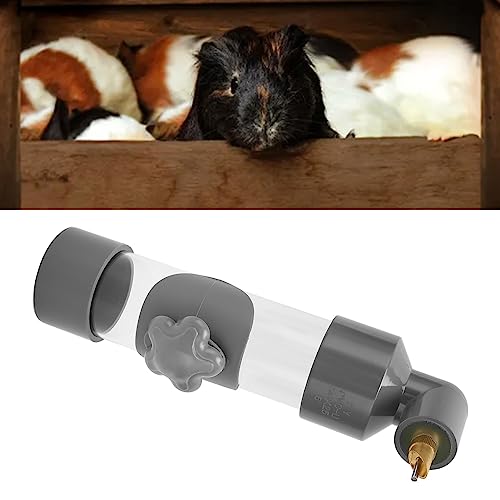 Garrafa de água para Animais Pequenos, Dispensador de Alimentador de água de Coelho Transparente à P