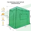 EAGLE PEAK 10x5 Portable Walk in Greenhouse, Pop Up Indoor Outdoor Greenhouse, Green House Kit with Zippered Roll-Up Doors and Windows, Lean-to Design, PE Cover, Clear/Green #2