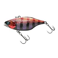 Amazon.co.jp: JACKALL(ジャッカル) バイブレーション TN65