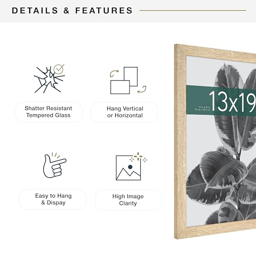 MCS Studio Gallery 13x19 Picture Frame Natural Woodgrain, Rectangle Photo Frame for Photos, Posters & Art Prints (1-Pack) ,19"L x 13"W