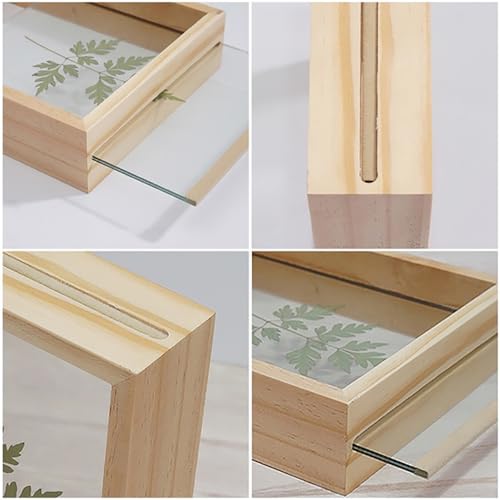 Image of Desi Rang Wooden Rectangular Frame For Wall Decor Table Top Hanging Any Green Or Dry Plant Leaf Picture Photo DIY Gift Home Decoration (Wood,Rec,8X12Inch,With Dry Leaf)