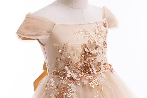 Weileenice Rose Gold Flower Girl Dress 4 5 Cold Shoulder Lace Embroidery Long A-line Holiday Party Formal Ball Gown4