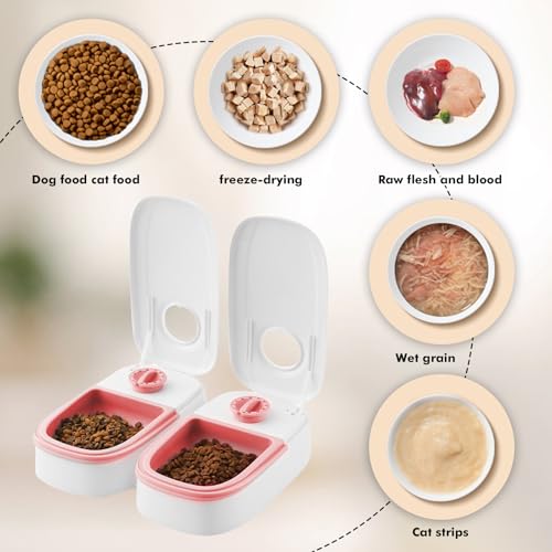 Futterautomat Katze Nassfutter, 2 Mahlzeiten Katzenfutter Automat Katzen Futterautomat mit 48 Stunden Timer 700 Ml für Katzen und Kleine Hunde Geeignet Für Nassfutter und Trockenfutter