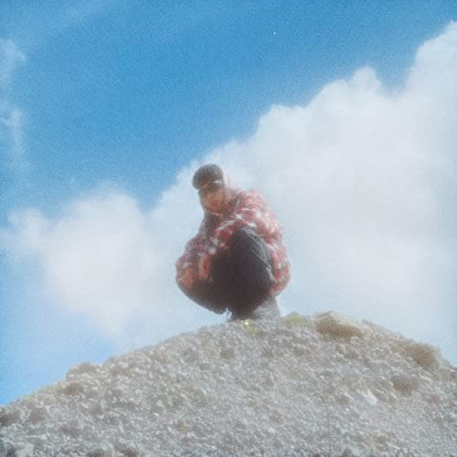 Hoodie Polo [Explicit]