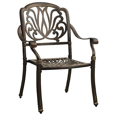 DXKDUSOKJ Cast Aluminum Patio Dining Chair Set of 2, Bronze Outdoor Armchairs for Garden and Deck