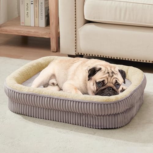 DEBANG HOME Orthopedic Dog Bed for Small Dogs Breeds, High Density Egg Crate Foam Dog Sofa Beds,Oval Kennel Bed, Pet Couch Bed with Four Sided Bolster, Removable Washable Cover& Non-Slip Bottom