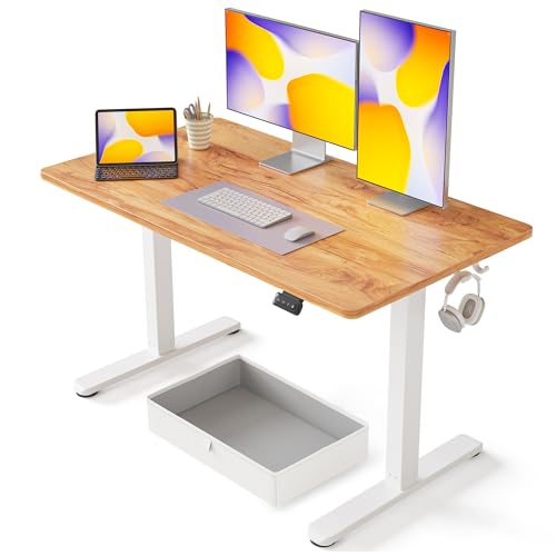FEZIBO Stand Desk with Drawer Height Adjustable Electric Stand Desk 120 x 60cm Sit-Stand Desk for Home Ergonomic Workstation Grey Steel Frame/Light Rustic Brown Desktop 48 Inch