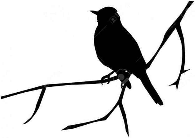 Pack of 3 Bird On Branch Stencils Made from 4 Ply Mat Board 16x20x 11x14, 8x10