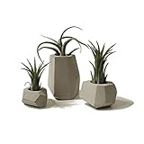 lieomo 3Pcs handmade Mini Modern Geometric Style Conerete Planter