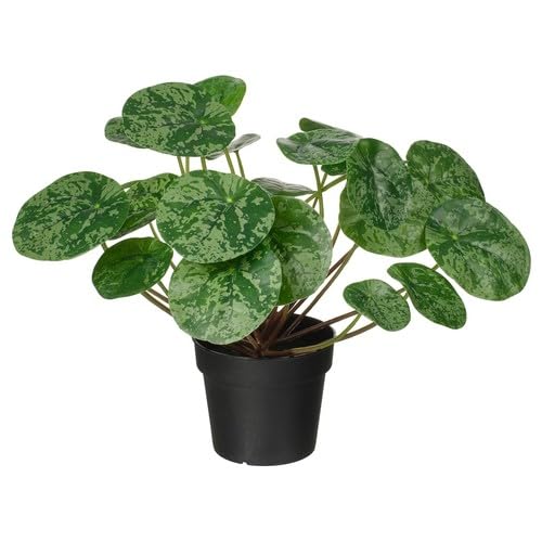 フェイカ IKEA 人工観葉植物 大型 FEJKA フェイカ 人工観葉植物, 室内/屋外用 デコレーション/グラス, 9