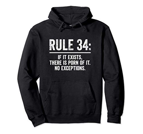 Rule 34, If It Exists There Is Porn Of It. Pullover Hoodie