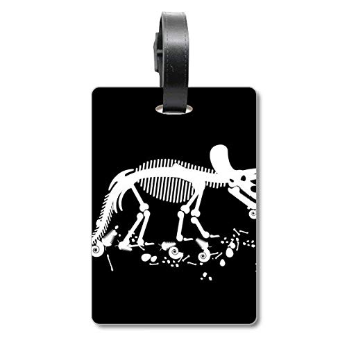 Étiquette bagage os de dinosaure miniature pour éviter la perte de valise à l'aéroport