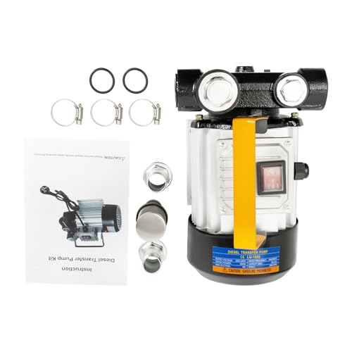 YB60 - Bomba de combustible (550 W, 20 – 60 L/min, 230 V, autocebante, bomba de combustible, bomba de extracción de aceite de hierro fundido y aleación de aluminio, con filtro y pistola de combustible