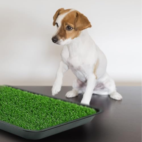 STARROAD-TIM 50 * 60CM Kunstrasen Hundetoilette