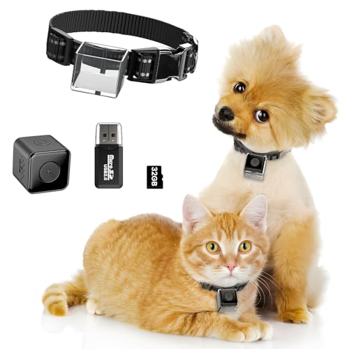 KinetCam Cat Camera Collar with 32GB SD Card, 1080P No APP No WiFi Needed Cat Collar Camera with Video Record, Pet Collar Camera, Dog Collar Camera, Body Camera for Cat/Dog Recording