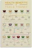 Tea Flavor Wheel Poster 8×12