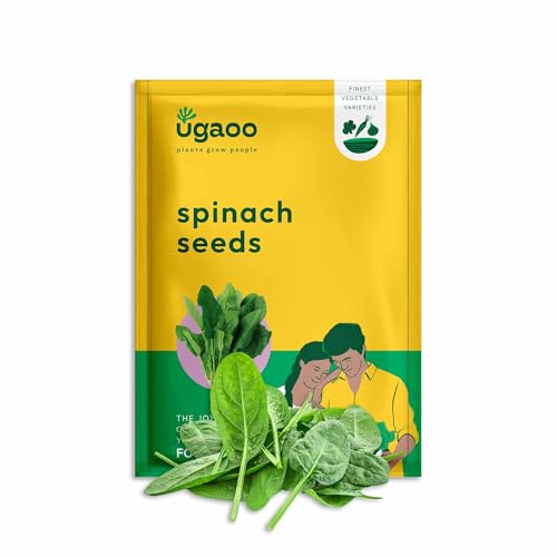 UGAOO Palak or Spinach Vegetable Seeds (Green, Pack of 16 g) -1700 Seeds