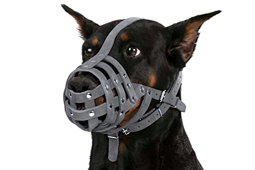Collardirect Dog Muzzle German Shepherd Dalmatian Doberman Setter Leather Basket Medium Large Breeds Black Brown (L, Grey) #TOP6