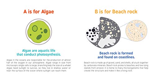 ABCs of Oceanography: Learn about Sea Creatures, Marine Biology, and More with this Essential Ocean Board Book from the #1 Science Author for Kids (Baby University) - Image 2