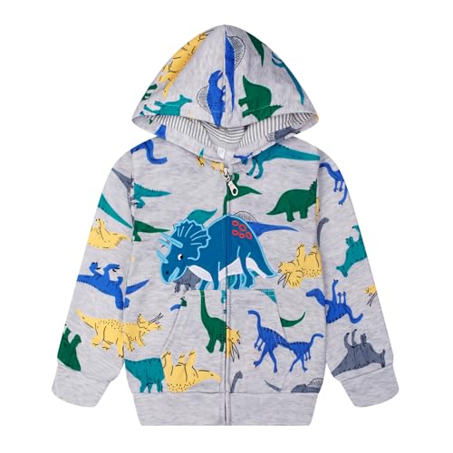 Image of Boys Toddler Zip Up Hoodie Kids Fall Winter Jacket Cute Sweatshirt With Hood 2-7 Years Old