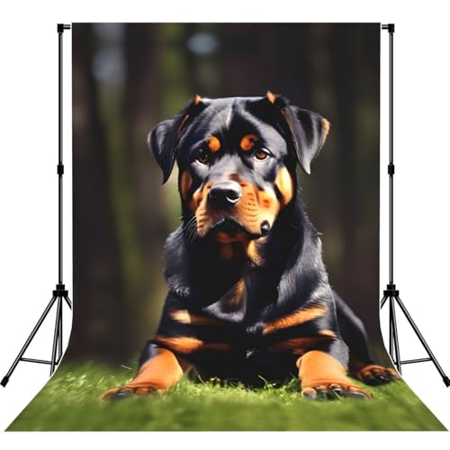 Toile de fond photographie Rottweiler 1,5x2,1m haute définition sans couture