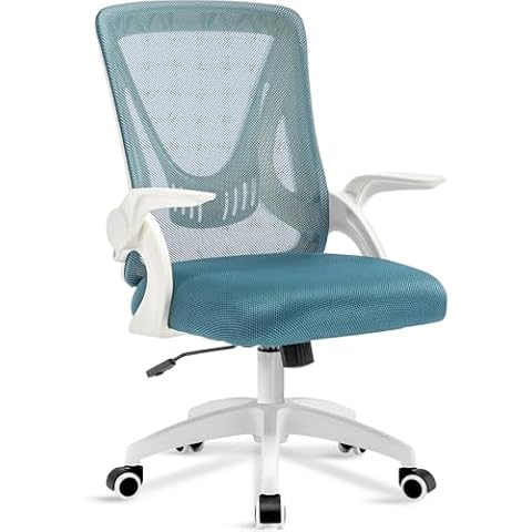 Blisswood Ergonomic Mesh Office Chair Cover