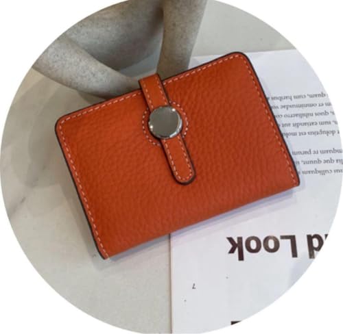 J[hP[X h Y fB[X {v e