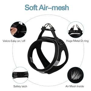 Dog Harness for Small Dogs, Small Dog Harness and Leash Set, Honeycomb Grid, Reflective Lightweight Harness & Anti-Twist Pet Lead,Dog Harness(Multi Color, Size: XS-S-M) (S, Black) Dog Harness for Small Dogs, Small Dog Harness and Leash Set, Honeycomb Grid, Reflective Lightweight Harness & Anti-Twist Pet Lead,Dog Harness(Multi Color, Size: XS-S-M) (S, Black)