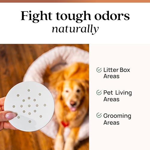 Azuna Pet Odor Eliminator for Strong Odor Gel | Plant Powered Australian Tea Tree Oil | Dog and Cat Room Deodorizer | Child and Pet Safe Air Fresheners for home | Cedarwood Scent | 8oz Pod by Azuna - Image 2
