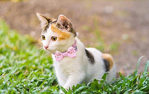 IDOLPET 4PCS Cat Collar Small Floral Cat Collar Safety Quick Release with Bell Cat Collar Adjustable Cat Collar with… - Image 5