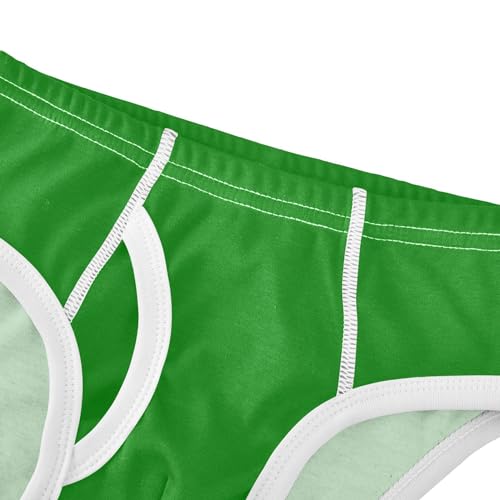 Green Boys' Underwear Cotton Boys Briefs Soft Toddler Underwear 2T4