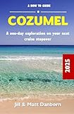 A how to guide to the island of COZUMEL: A one-day exploration on your next cruise stopover