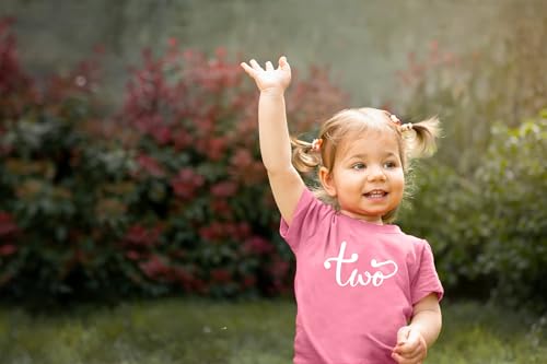 Simple 2nd Birthday Party T-Shirt for 2 Year Old Toddler Girls3