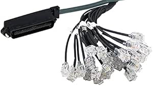 Amazon.com: Connectors RJ21 Male 25 Pair to 25 RJ11 CAT.3 - (Cable ...