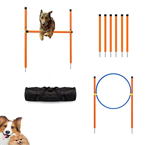 N.F. Équipement d'agilité pour Chiens,Cours d'entraînement d'obstacles d'agilité pour Chien en Plein air Portable avec Sac de Transport, Ensemble de Sport d'agilité pour Animaux de Compagnie