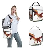 Pterodáctilo - Lonchera de dinosaurio para mujeres y hombres, reutilizable, con aislamiento, lonchera de gran capacidad, contenedor de almuerzo para el trabajo, oficina, picnic, viajes