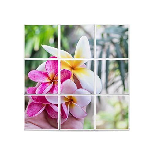 Carreaux céramique décoratif plumeria 60x60cm pour revêtement mural premium