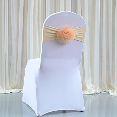 Verfijn je decoratie met stijlvolle stoelstrikken | Amazon.nl: Spandex Stoel Sjerp 2/4/6 Stuks stoelstrikken fluwelen stoelsjerp strik band... 10 stuks spandex stoel sjerpen met strik, elastische stoel banden Verfijn je decoratie met stijlvolle stoelstrikken | Amazon.nl: Spandex Stoel Sjerp 2/4/6 Stuks stoelstrikken fluwelen stoelsjerp strik band... 10 stuks spandex stoel sjerpen met strik, elastische stoel banden
