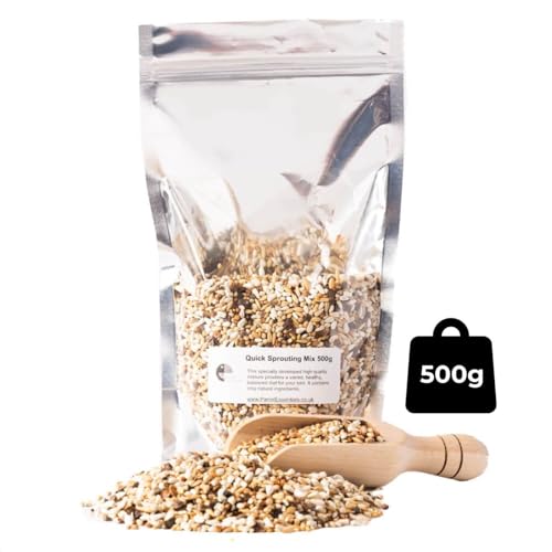 Quick Sprouting Seed Mix for Parrots - Natural Sprouting Mix Highly Nutritious Healthy Bird Feed - 500g - Image 2